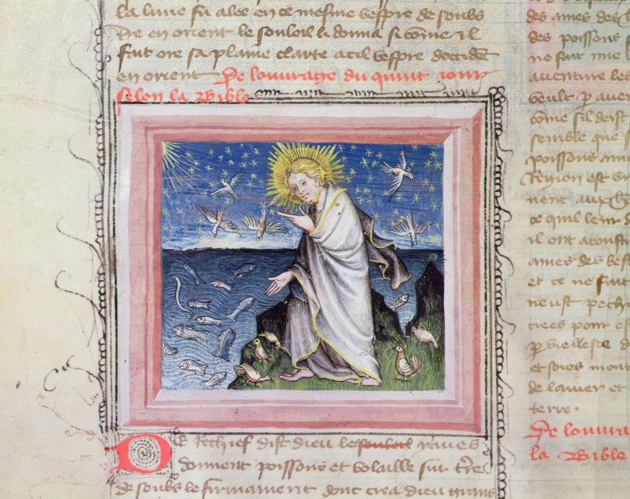 Ms 313 Creation of the Animals, Bible des Grands Augustinsista tekijältä French School