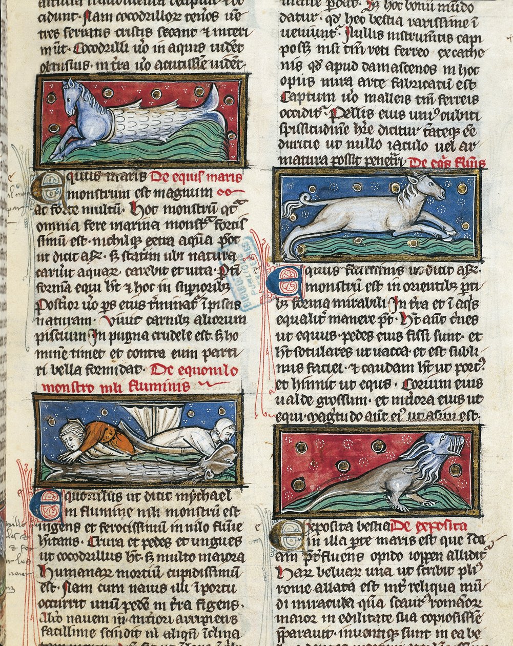 Ms 320 Fol.115r Sea Monsters, Thomas van Cantimpren (1201-72) De Natura rerumista (vellum) tekijältä French School