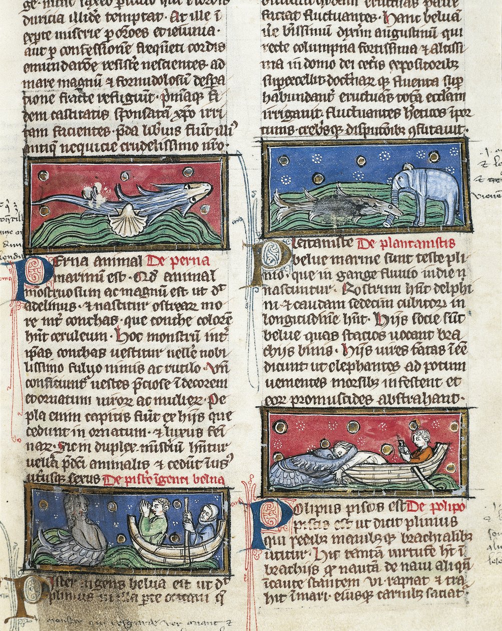 Ms 320 Fol.116 Sea Monsters, Thomas van Cantimpren (1201-72) De Natura rerum -teoksesta (vellum) tekijältä French School