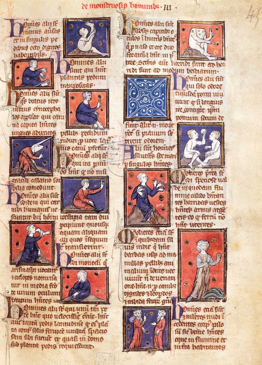 Ms 320 Fol.45r Monsters, Thomas van Cantimpren (1201-72) De Natura rerum -teoksesta (vellum) tekijältä French School