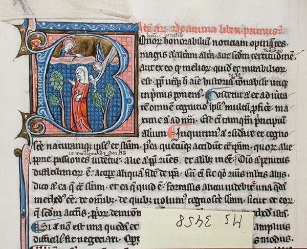 Ms 3458 Enkeli synnyttää vauvan syntyvälle naiselle, Aristoteleen "fysiikasta" (kynä, muste ja tempera perunakalvolla) tekijältä French School