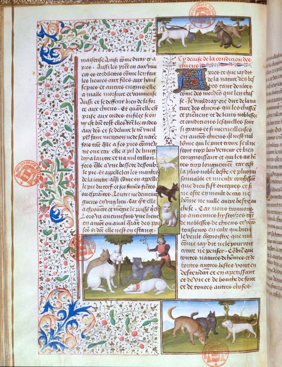 Ms 3717 metsästyskoiria, Livre de la Chassesta, kirjoittanut Gaston Phebus de Foix (1331-91) (vellum) tekijältä French School