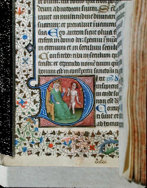 Ms 376 Historioitu alkukirjain "D", joka kuvaa kuningasta hullun kanssa, psalterista (vellum) tekijältä French School
