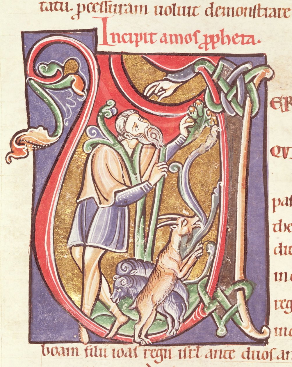 Ms 3 fol.234v Historioitu alkukirjain V, joka kuvaa Amosta, Saint-Sulpice de Bourgesin Raamatusta tekijältä French School