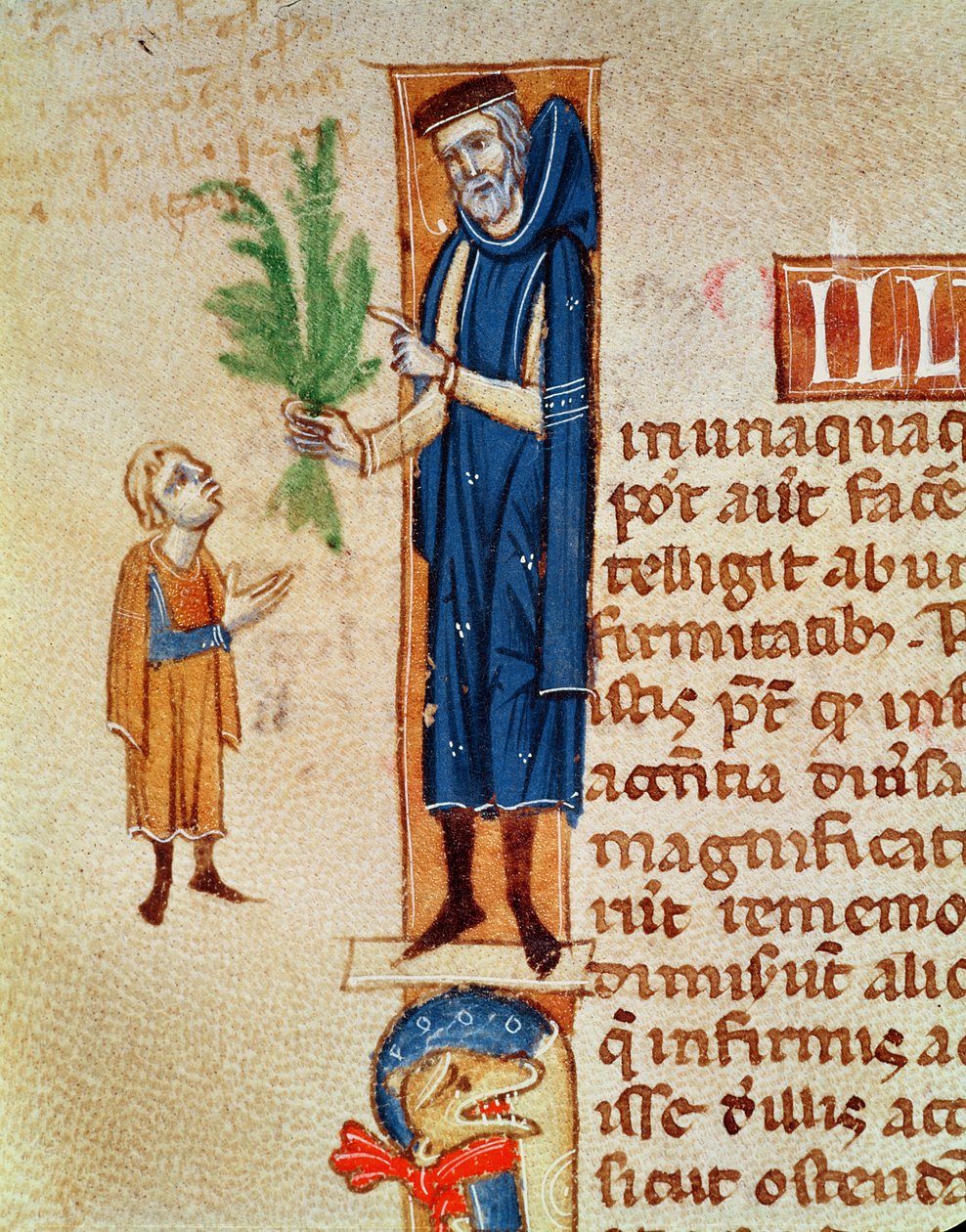 Ms 413 f.92v Medicinal Plants, kuvitus Claudius Galenuksen (n. 130-n. 201) Traite de Medicinestä kääntäjä Gerard de Cremone (1114-87) tekijältä French School