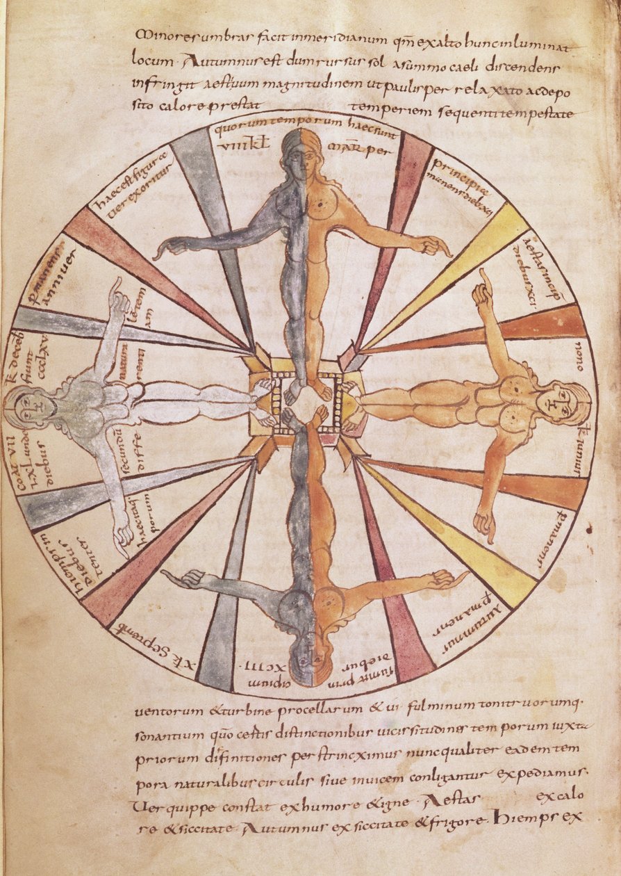 Ms 422 fol.6v Vuodenaikojen ja kuukausien pyörä, De Natura Rerum, kirjoittaja St. Isidore of Sevilla tekijältä French School