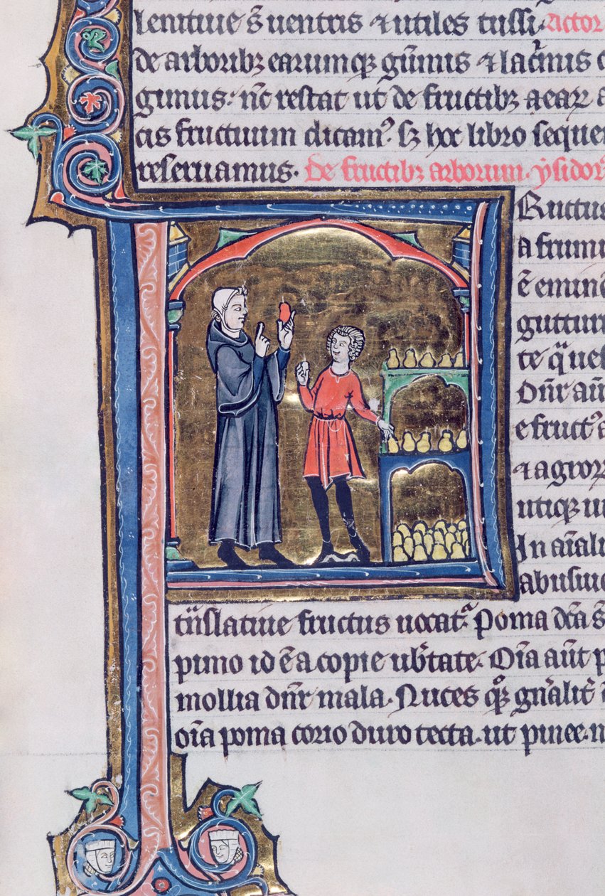 Ms 426 fol.135 Opetus paras tapa säilyttää päärynöitä, Le Miroir de la Nature, Vincent de Beauvais tekijältä French School