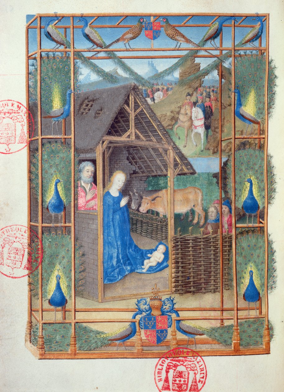 Ms 473 Syntymä riikinkukkojen kanssa, pienoismalli Heures de Charles de Francesta, n. 1466-69 tekijältä French School
