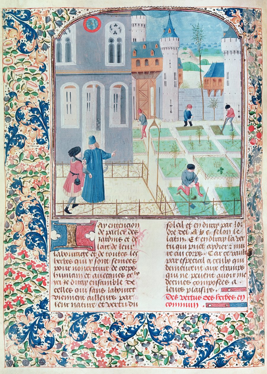 Ms 5064 f.151v The Garden, kuvitus Pietro de Crescenzin (1230-132021) Le Livre des Prouffitz Champestresista tekijältä French School