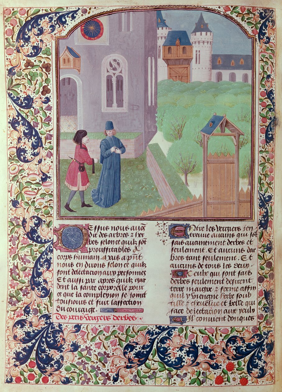 Ms 5064 f.202v The Orchard, kuvitus Pietro de Crescenzin (1230-132021) Le Livre des Prouffitz Champestresista tekijältä French School