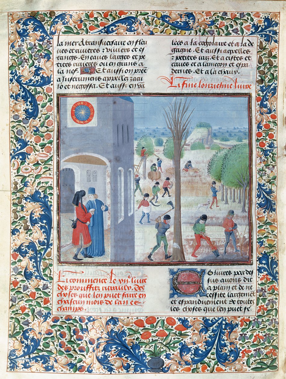 Ms 5064 f.299v Ammatit jokaiselle vuoden kuukaudelle, kuva Pietro de Crescenzin (1230-132021) Le Livre des Prouffitz Champestresista tekijältä French School