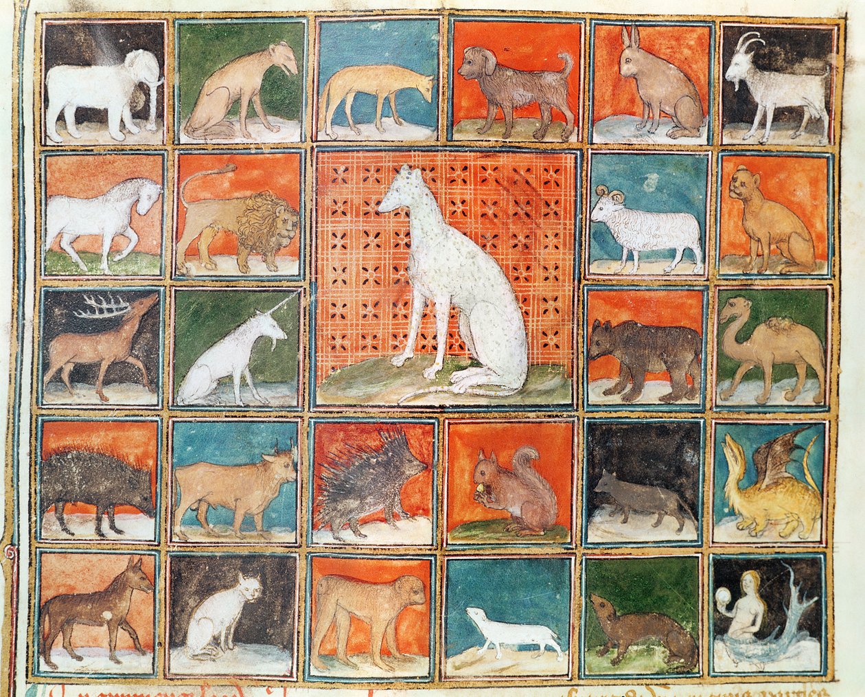 Ms 993 fol.254v The Properties of Beasts: The Mammals, Jean Cordichonin teoksesta Le Livre des Proprietes des Choses tekijältä French School