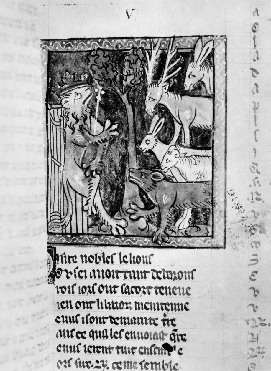 Ms Fr 1581 Aatelispiha, kuvitus Roman de Renartista tekijältä French School