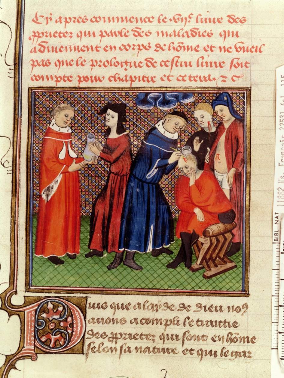 Ms Fr 22531 Fol.115 Virtsan tutkimus ja haavojen paraneminen, Barthelemy lAnglaisin teoksesta Le Livre des Proprietes des Choses, n. 1410-1515 tekijältä French School