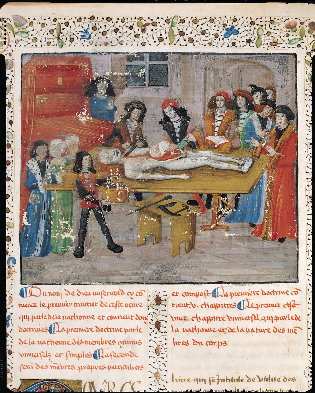 Ms H 184 fol.14v Dissektiotunti Montpellierin lääketieteellisessä tiedekunnassa, Guy de Chauliacin teoksesta "La Grande Chirurgie", 1363 tekijältä French School