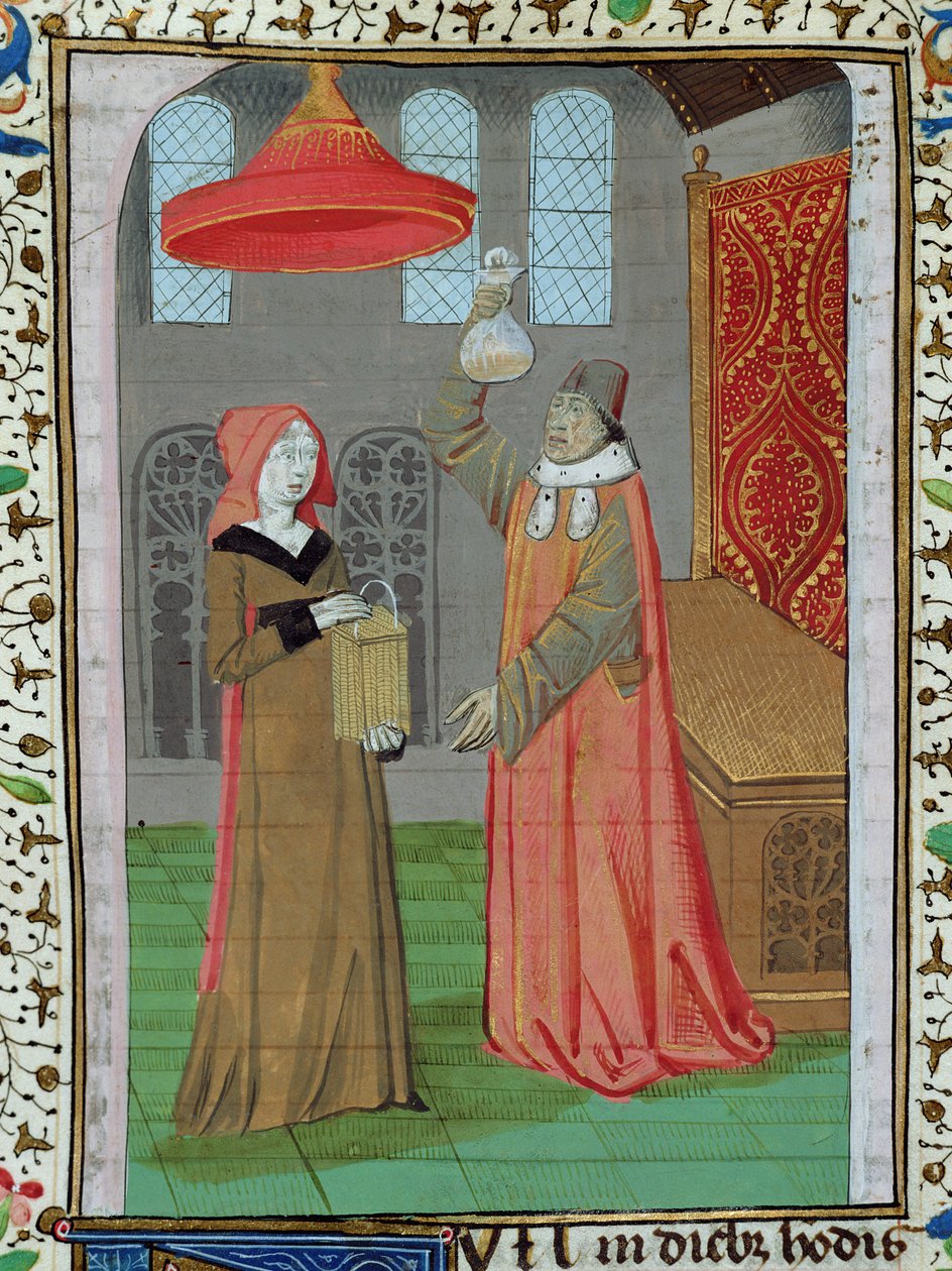 Ms H 7 fol.164r Lääkäri, joka tutkii St. Elizabethin virtsaa nähdäkseen, onko hän raskaana, Jean XXII:n Raamatusta tekijältä French School