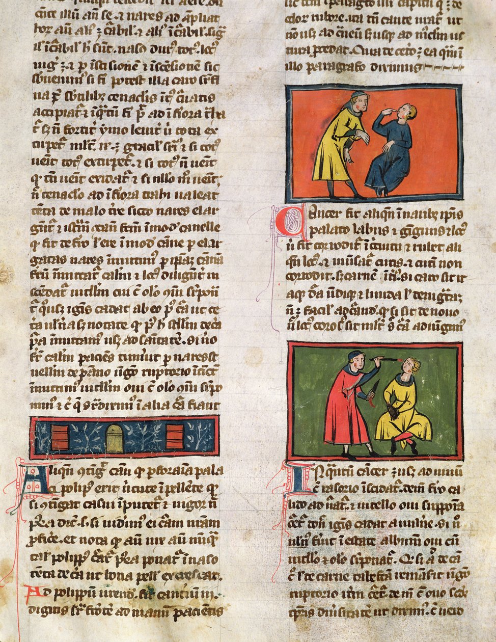 Ms H 89 lääkärit ja potilaat, Rogier de Salernen kirjasta Book of Surgery tekijältä French School