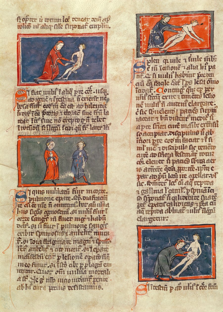 Ms H 89 fol.21v Anatomiset hahmot Rogier de Salernen "Book of Surgery" -julkaisusta tekijältä French School