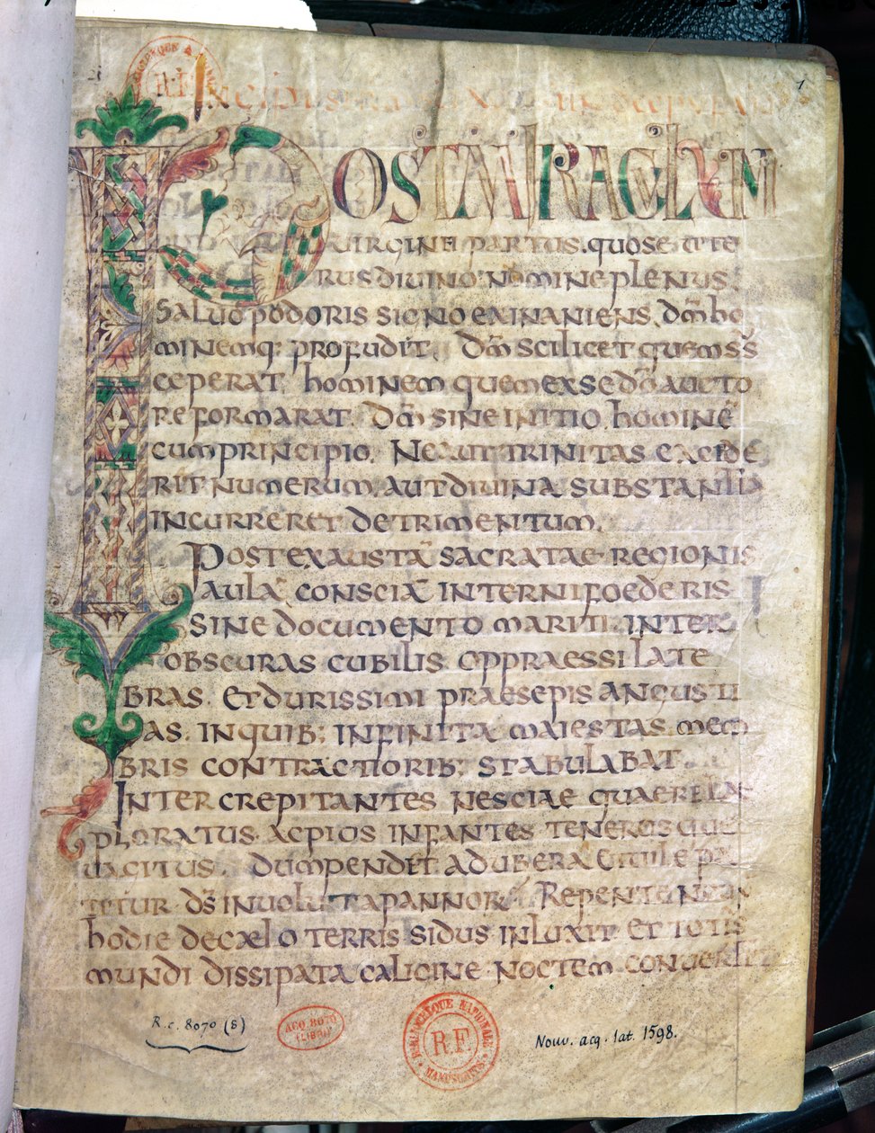 Ms Lat 1598 Fol.1 Zoomorfinen historiallinen alkukirjain P, Pyhän Augustinuksen (354-430) teoksesta tekijältä French School