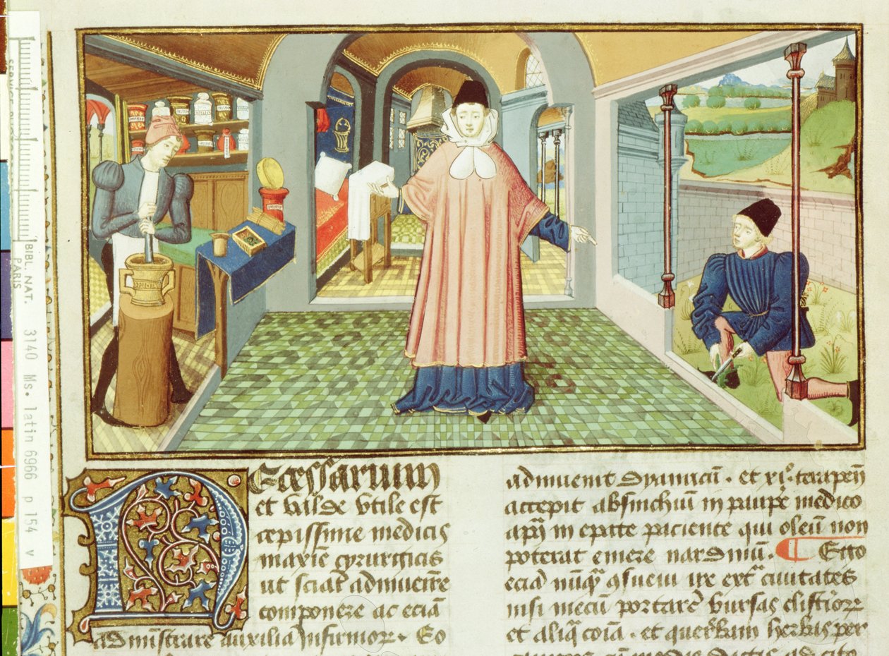 Ms Lat 6966 fol.154v Kasvien leikkaaminen ja lääkkeiden valmistus, Bernard de Gordonin LAntidotaire tekijältä French School
