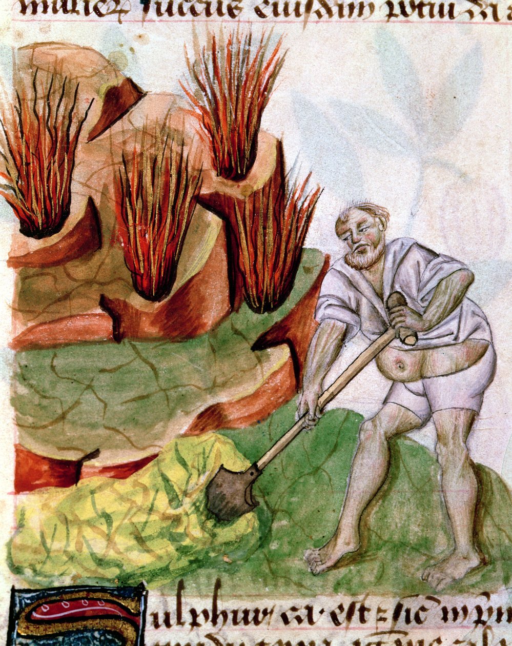 Ms Lat 993 L.9.28 f.123v Etsitkö rikkiä, Dioscorides De Herbis tekijältä French School