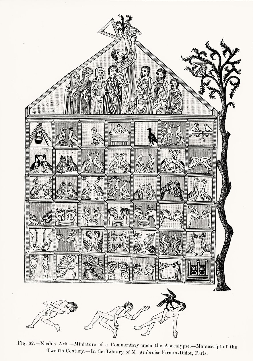 Nooan arkki, pienoiskuva Apokalypsin kommentista, kuvitus tieteestä ja kirjallisuudesta keskiajalla ja renessanssilla, kirjoittanut ja kaivertanut Paul Lacroix, 1878 (bw photo tekijältä French School