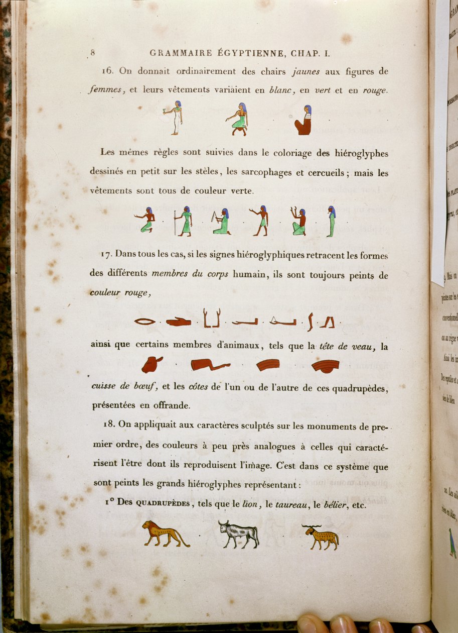Huomautuksia tiettyjen hieroglyfien värjäyksestä, Jean Francois Champollionin (1790-1832) Grammaire Egyptiennen teoksesta 1836 tekijältä French School