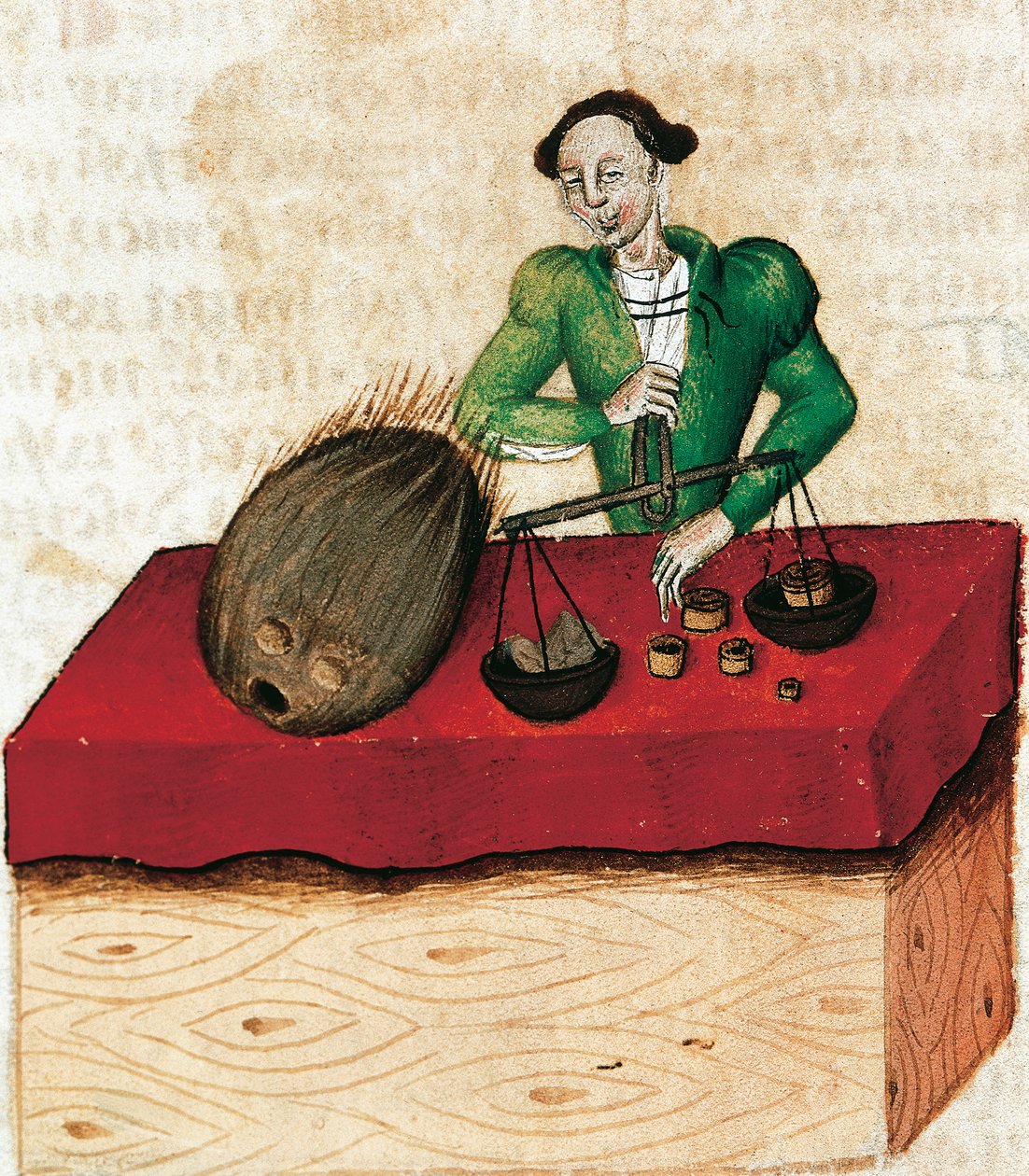 Muskottipähkinäkauppias, miniatyyri Tractatus de herbisistä, Ranska 1400-luvulta. tekijältä French School