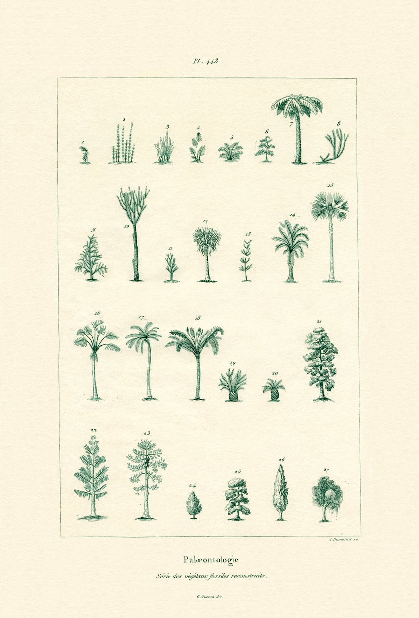 Paleontologia, 1833-39 tekijältä French School