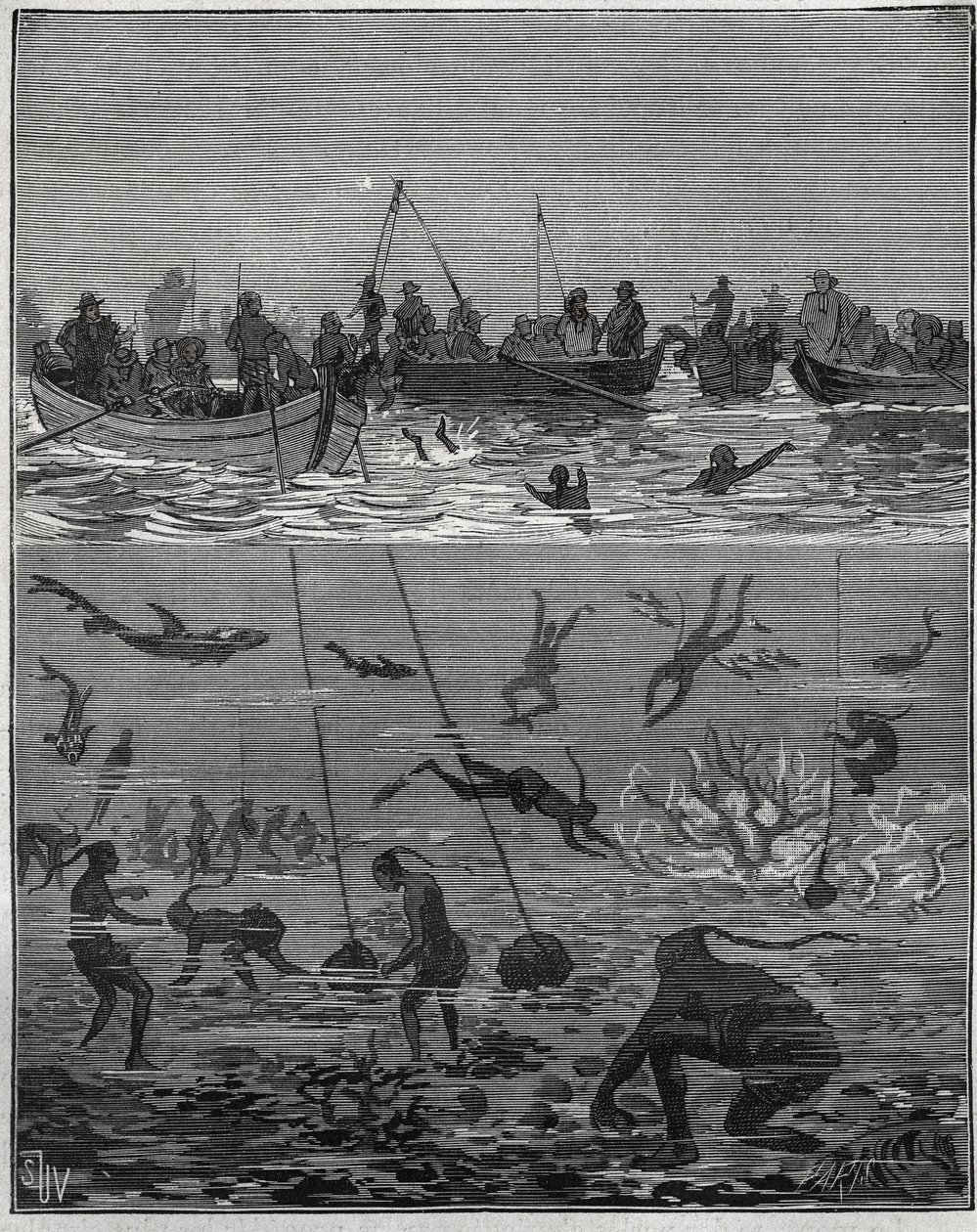 Pearl persikoita Ceylonissa (nykyinen Sri Lanka) 1800-luvulla. Kaiverrus vuodelta 1885 kirjassa "Les arts et metiers illustres", kirjoittanut Adolphe BITARD. tekijältä French School
