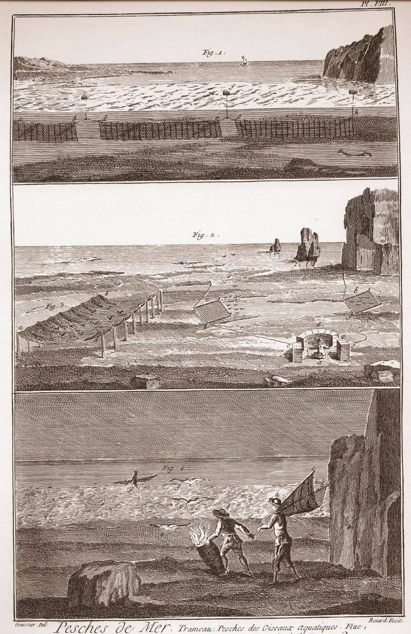 Peche de Mer - Trameau - Vesilintujen kalastus - "" Suuri tietosanakirja tai Sanakirja Raisonne des Sciences, des Arts et des Metiers" (Encyclopedia eli tieteiden, taiteiden ja ammattien sanakirja) Denis Diderot (1713-1784) ja Jean d 