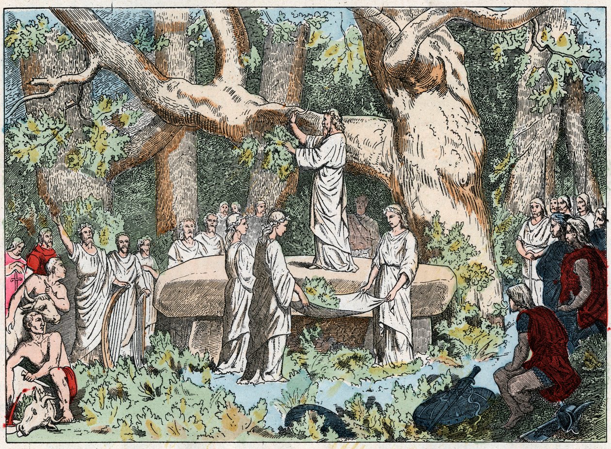 Mistelin poimiminen druideilta Galliasta, 1800-luvun loppu (kaiverrus) tekijältä French School