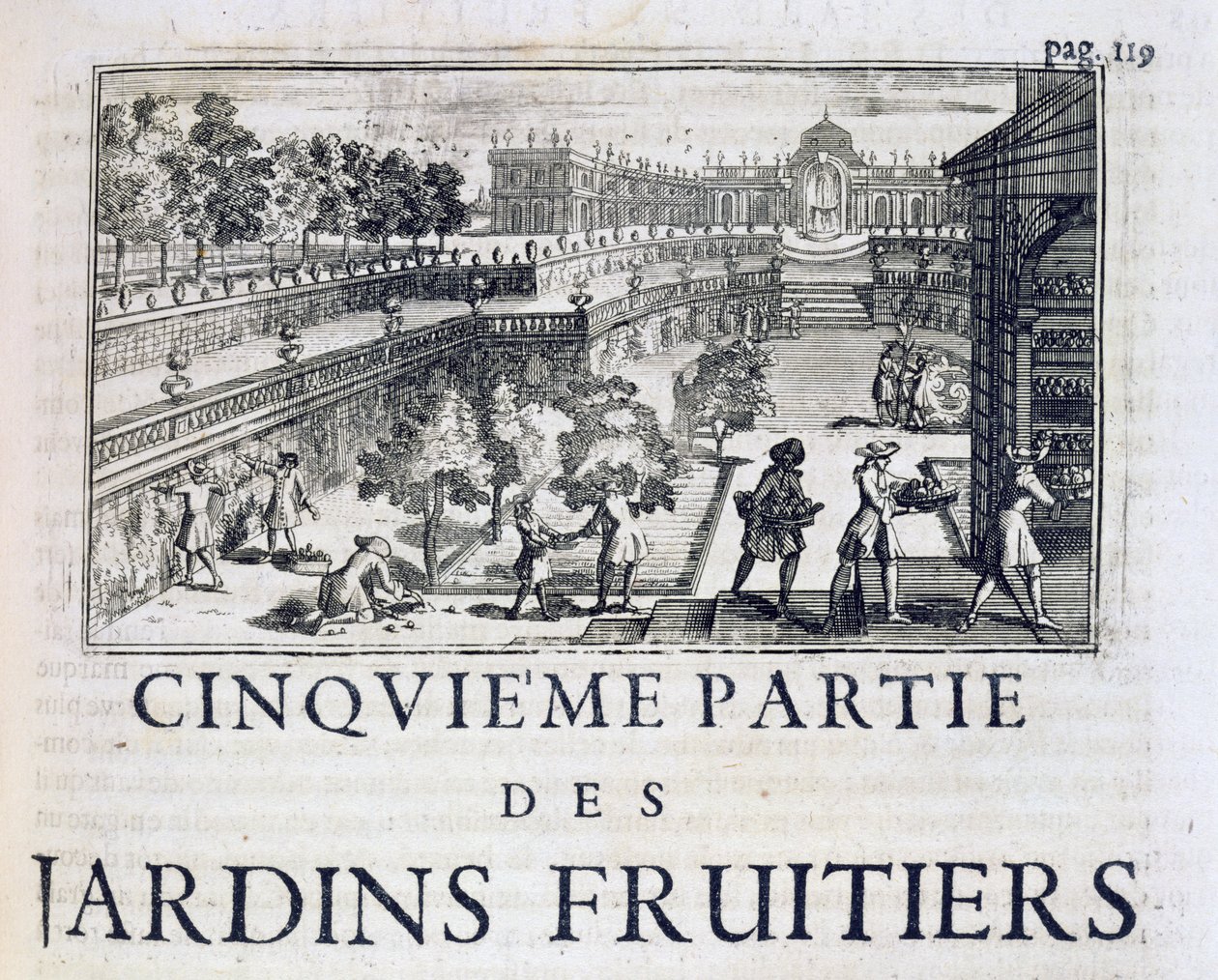 Hedelmäpuiden istuttaminen, Le Parfait Jardinier, ou Instruction pour les Jardins Fruitiers et Potager, Jean de la Quintinye, julkaistu 1695 tekijältä French School