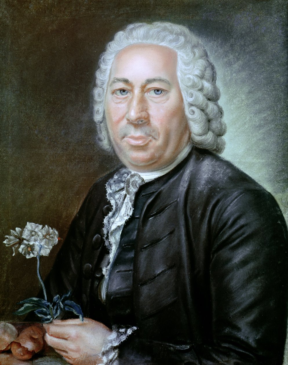 Antoine Augustin Parmentierin (1737-1813) muotokuva tekijältä French School