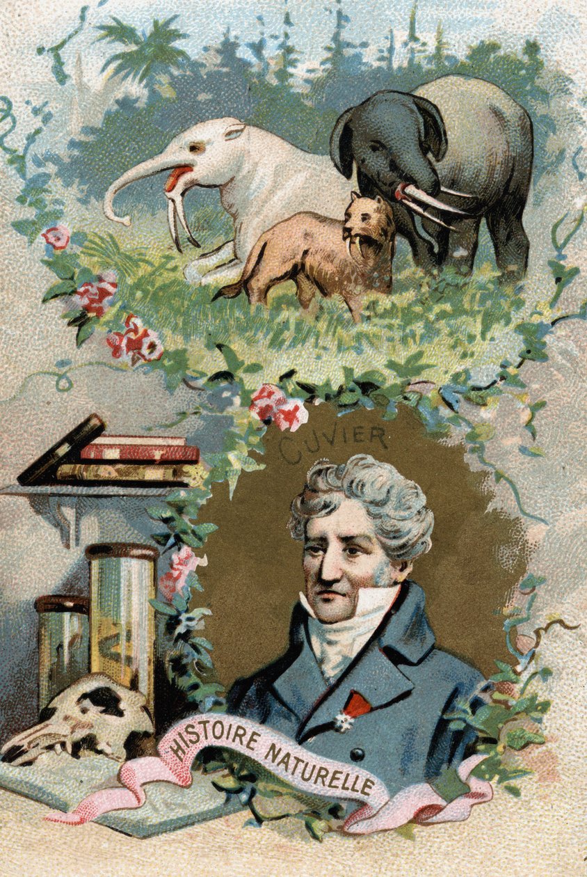 Paroni Georges Cuvier