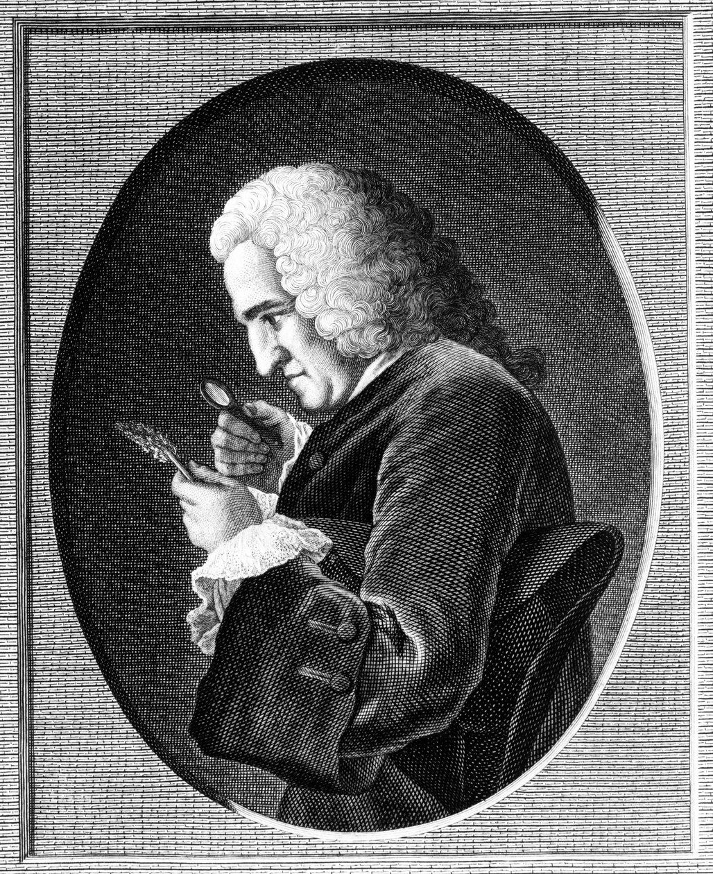 Bernard de Jussieun (1699-1777) muotokuva tekijältä French School