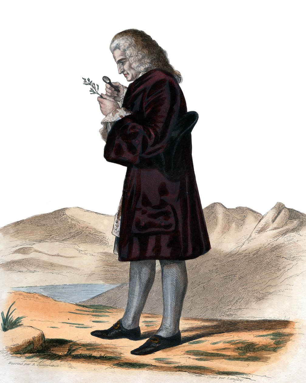 Ranskalaisen luonnontieteilijän Bernard de Jussieun (1699-1777) muotokuva. tekijältä French School