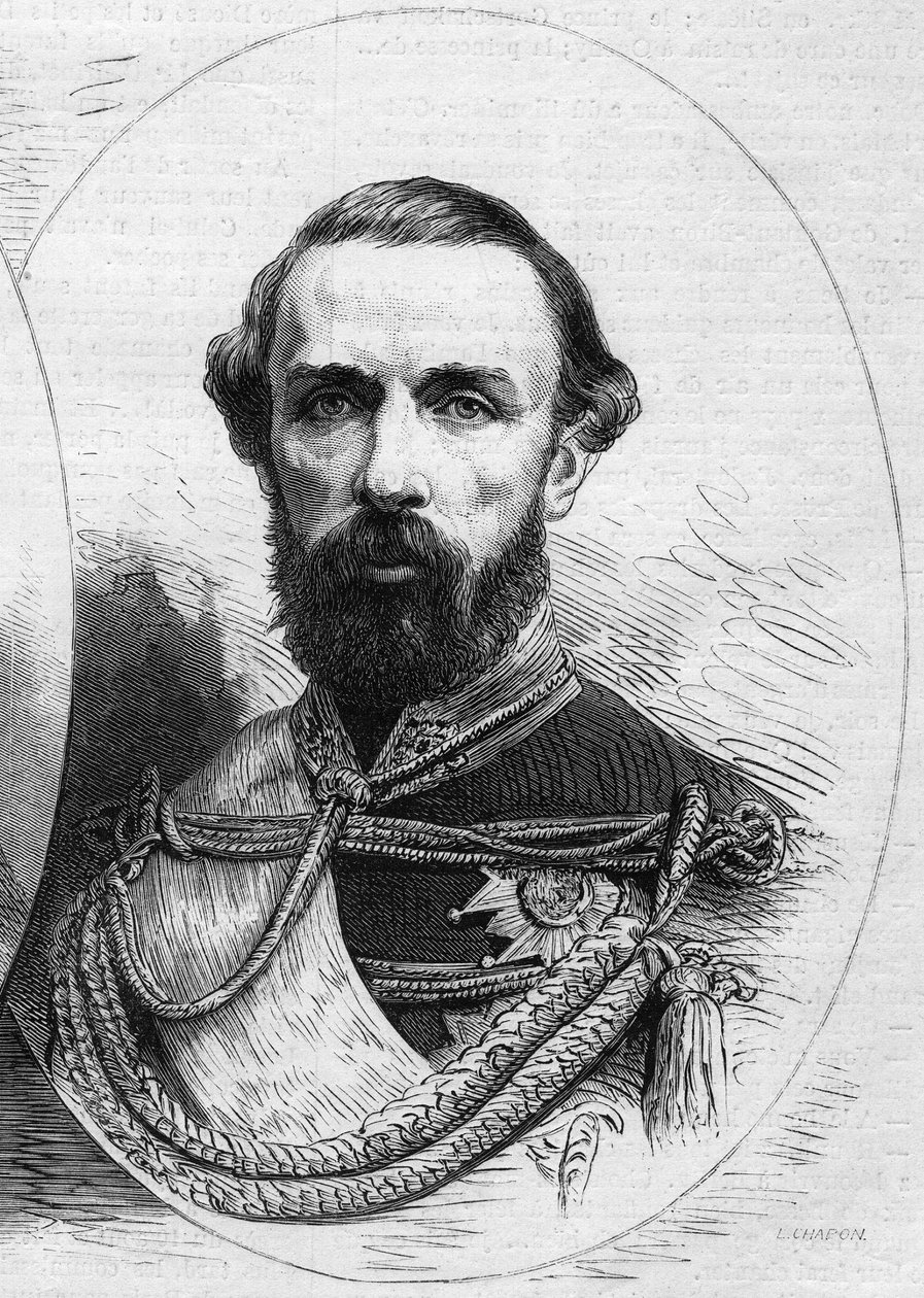 Kaarle XV:n muotokuva (Karl XV tekijältä French School