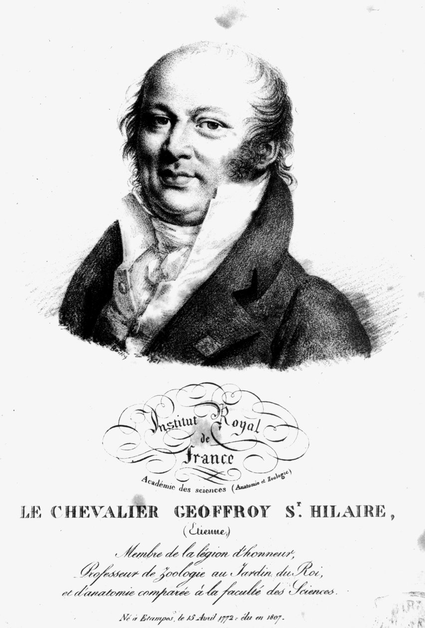Etienne Geoffroy Saint-Hilairen (1722-1844) muotokuva tekijältä French School