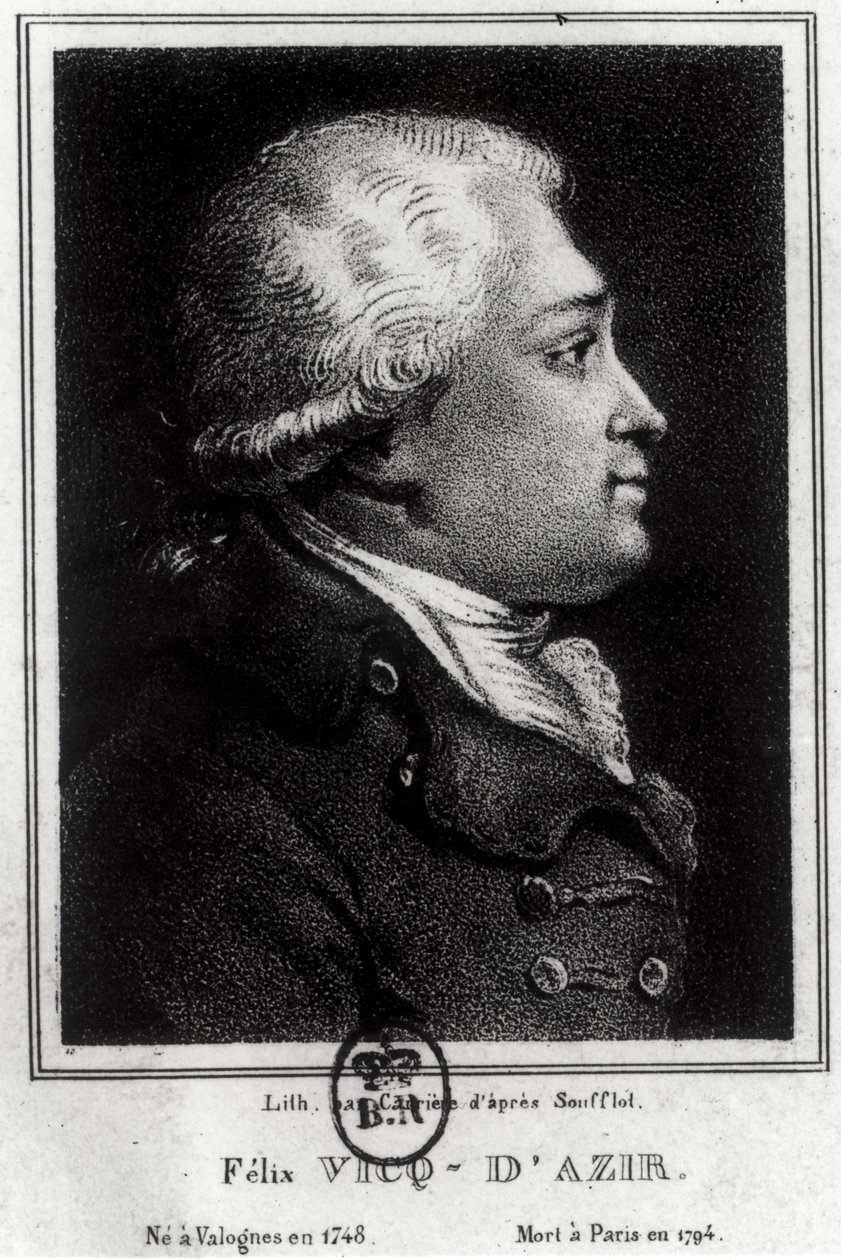 Felix Vicq dAzyrin (1748-94) muotokuva tekijältä French School