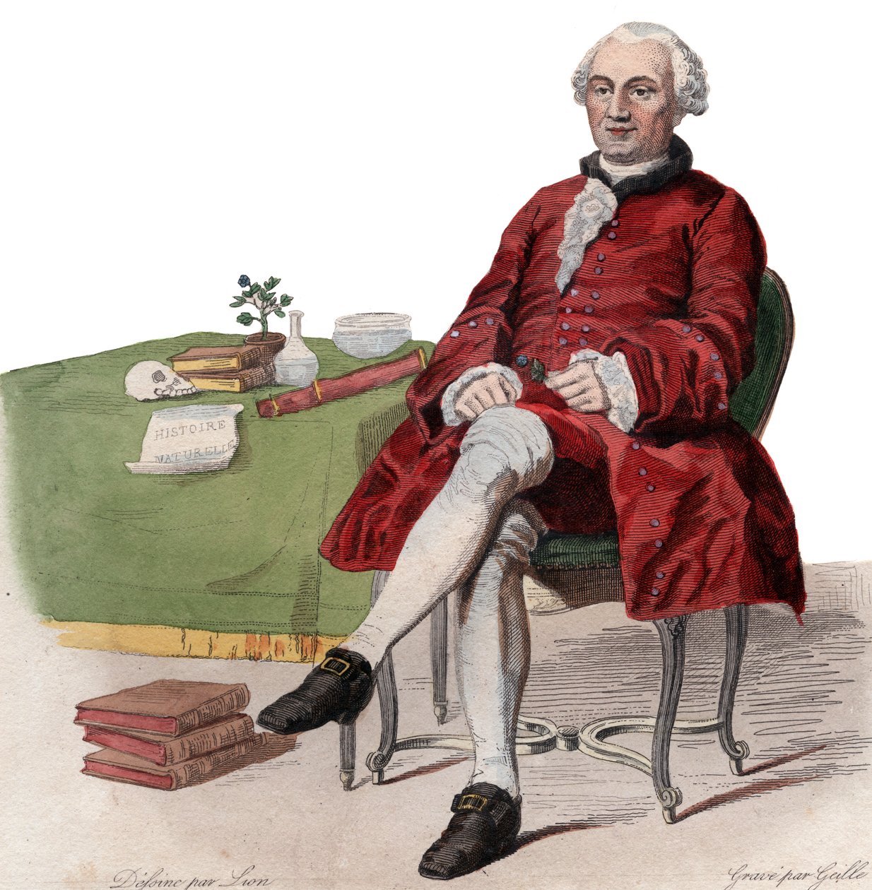 Georges Louis Leclercin muotokuva, kreivi de Buffon (1707-1788), ranskalainen luonnontieteilijä. tekijältä French School