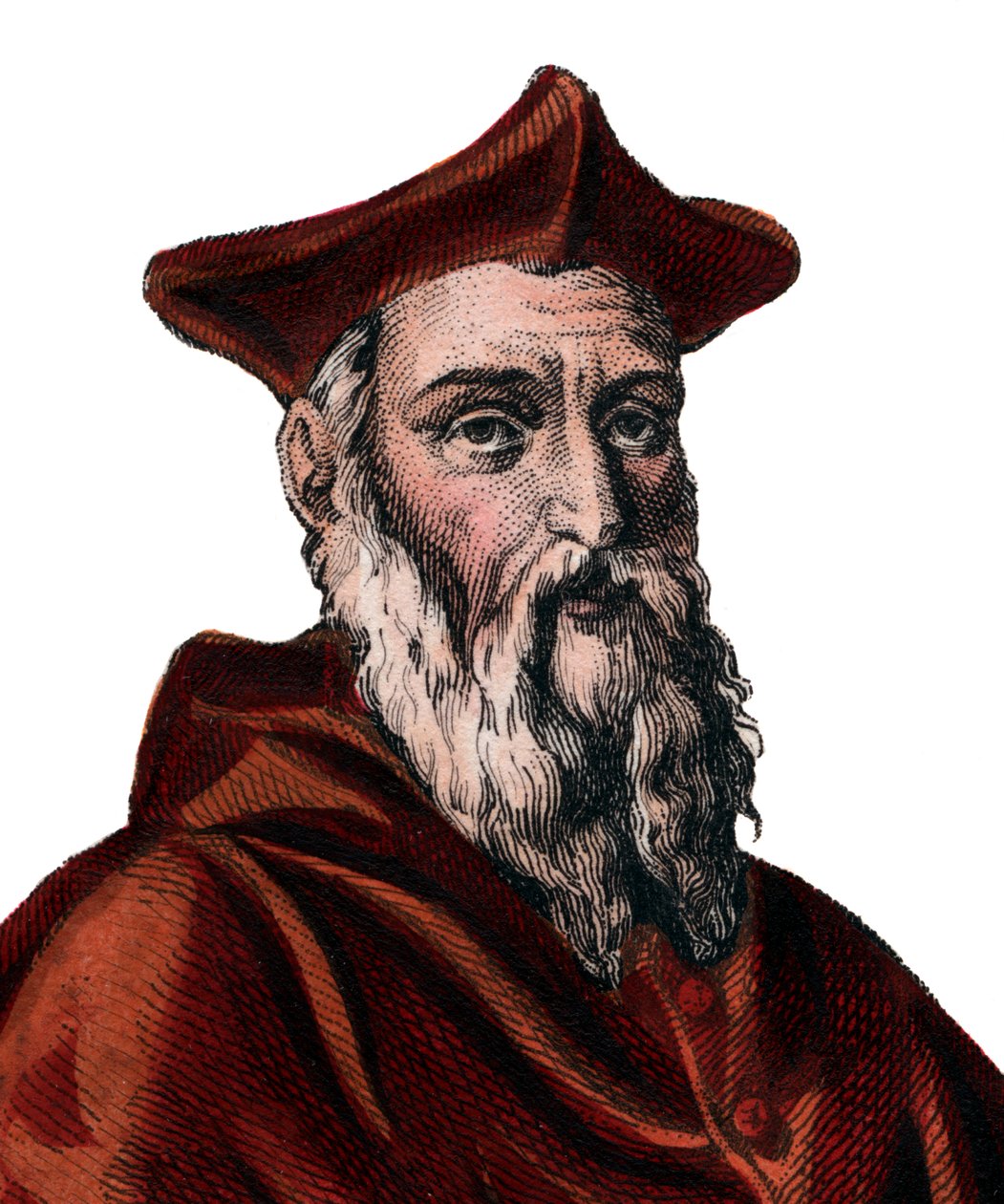 Jean du Bellayn (1492-1560), ranskalaisen kardinaalin ja diplomaatin muotokuva. tekijältä French School