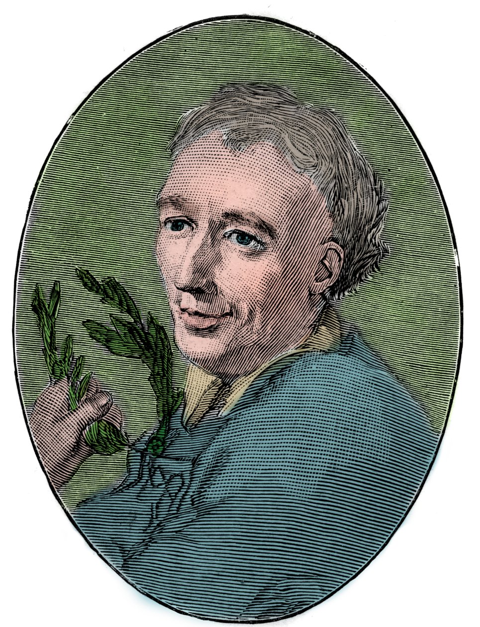 Laurence Eusdenin (1688-1730) muotokuva englantilainen runoilija. tekijältä French School