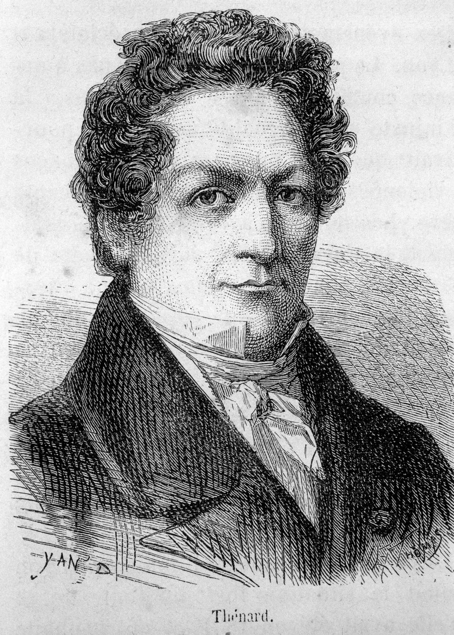 Muotokuva ranskalaisesta kemististä Louis Jacques Thenardista (1777-1857). tekijältä French School