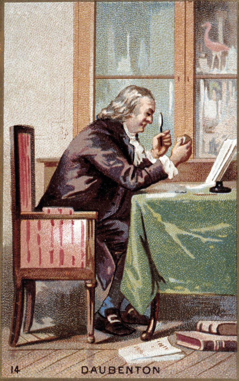 Muotokuva Louis Jean Marie Daubentonista (1716 - 1800), ranskalaisesta luonnontieteilijästä. tekijältä French School