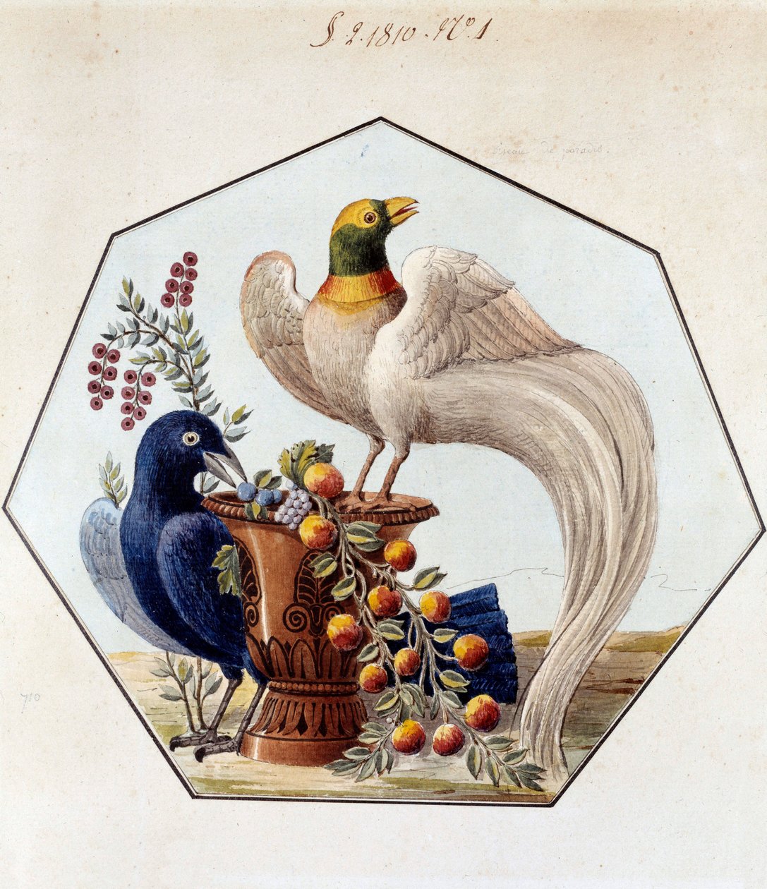 Alexandre Brongniartin (1770-1847) projekti lintupöydästä posliinista. 1810 Sevres, Manufacture de Sevresin arkisto tekijältä French School