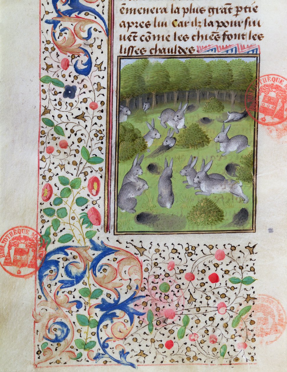 Rabbit warren, Gaston Phebus de Foixin (1331-91) Metsästyskirjasta tekijältä French School