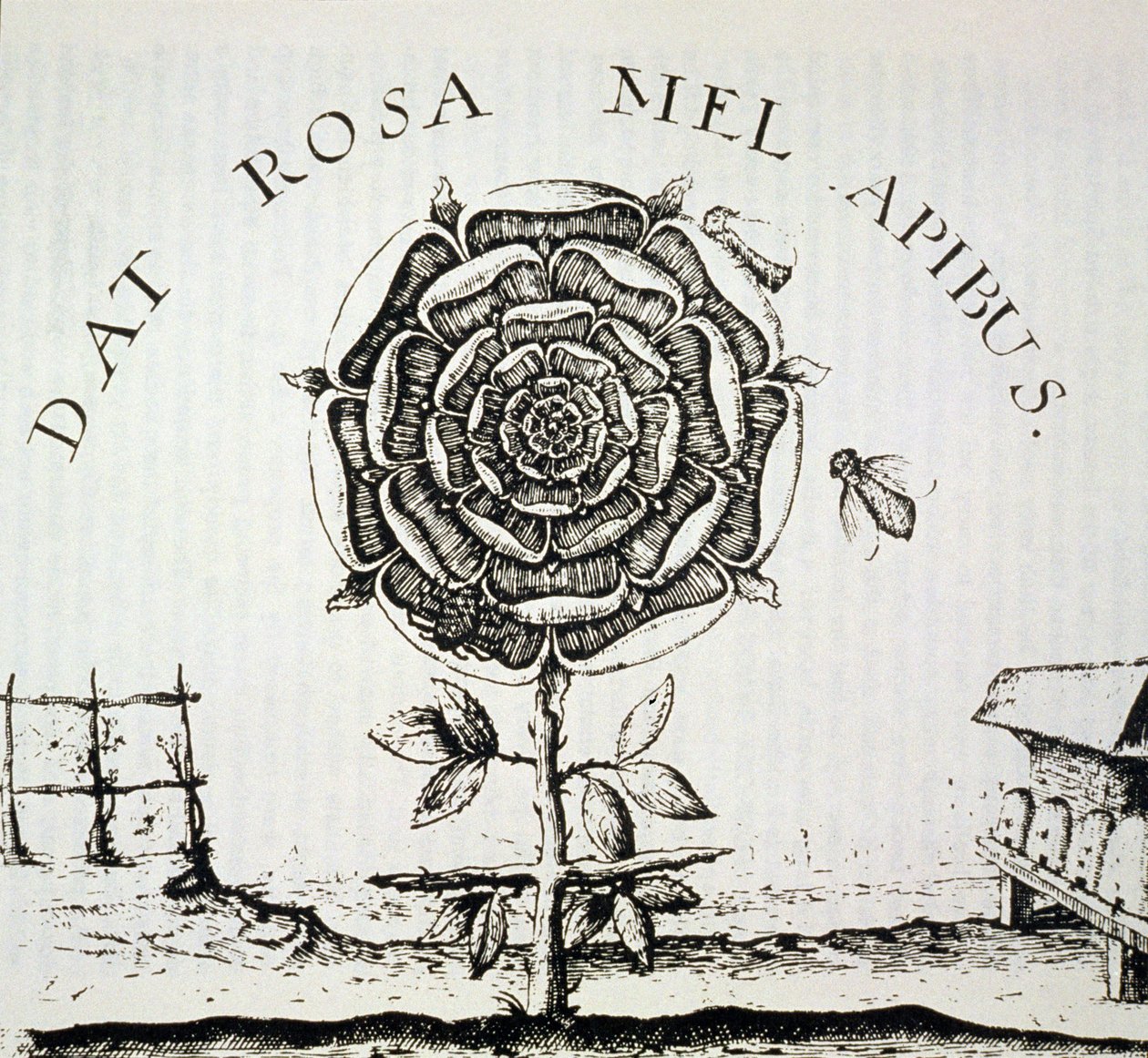 Ruusuristiläinen allegoria, kopio Johann Theodore de Bryn (n. 1598) kaiverruksesta, käytetty Taikuuden historiassa, julkaistu 1800-luvun lopulla tekijältä French School
