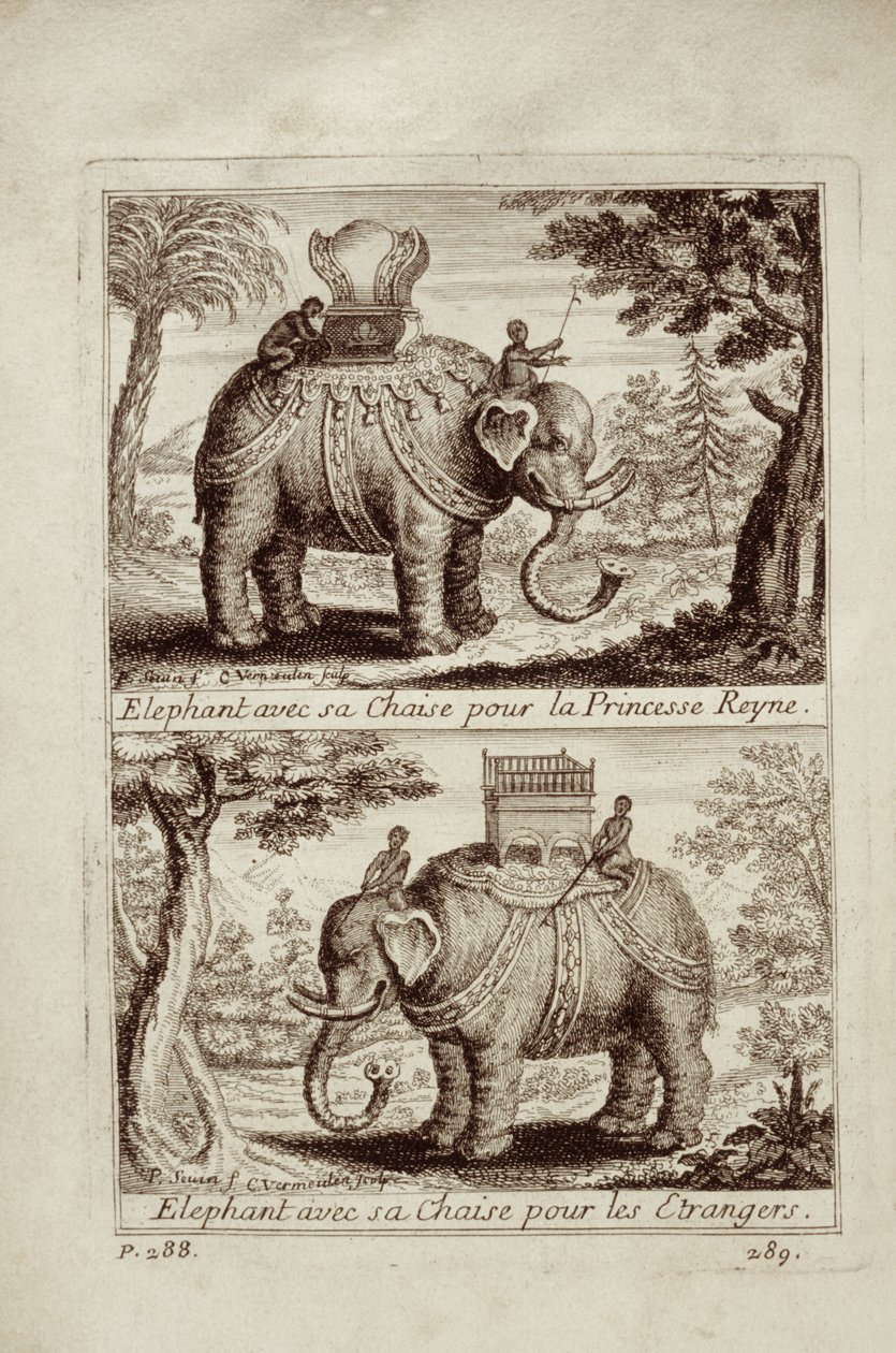 Kuninkaalliset norsut, Guy Tachardin Voyage du Siam des Peres Jesuitesista, 1688 tekijältä French School