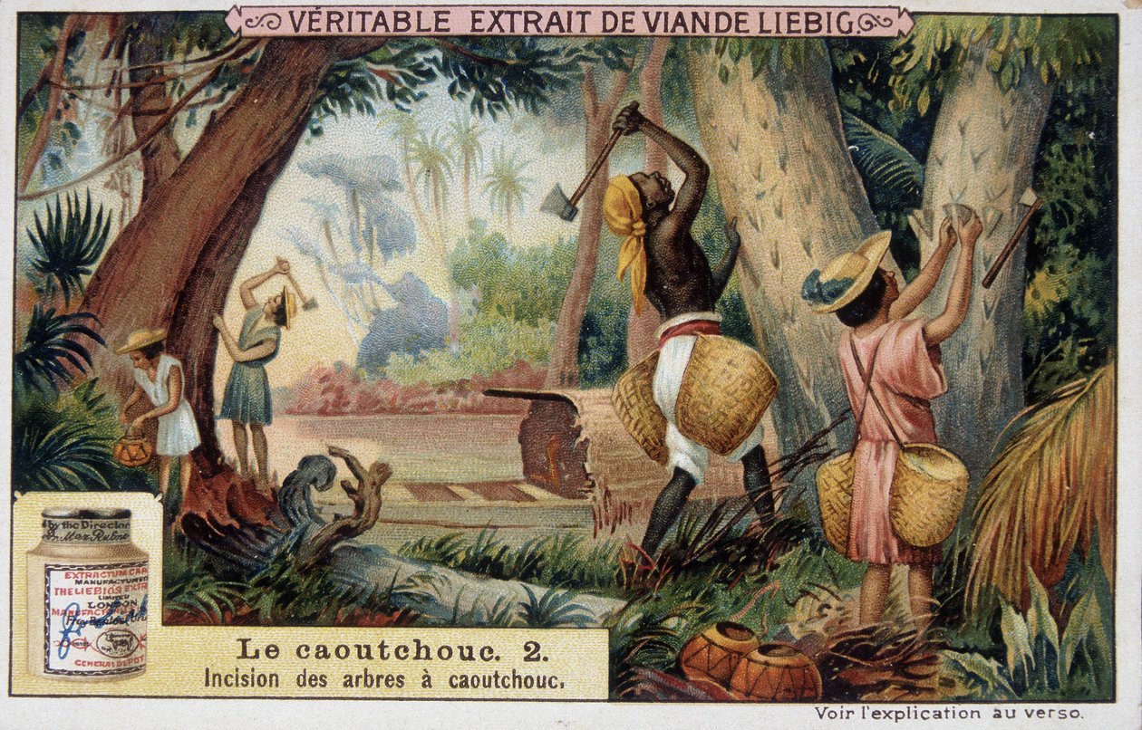 Kumi: kumiakselien viilto - chromo Liébig. tekijältä French School